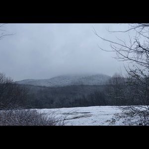 Meet your Posher, Esther